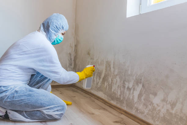 Crawl Space Mold Removal in Dublin, VA