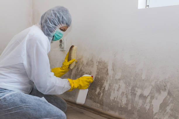 Best Office Mold Removal Services  in Dublin, VA