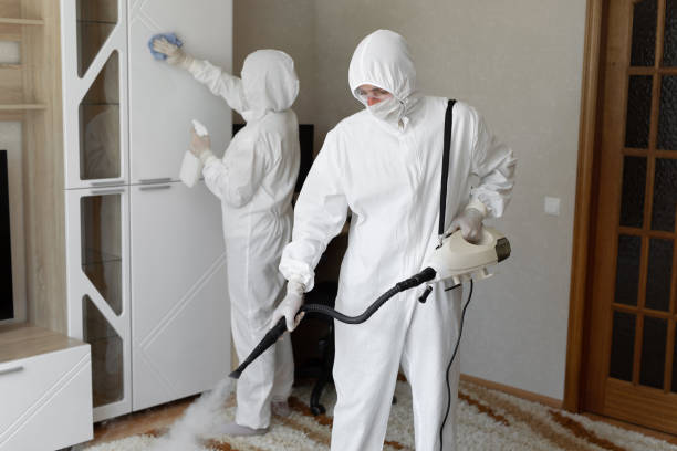 Best Attic Mold Removal  in Dublin, VA
