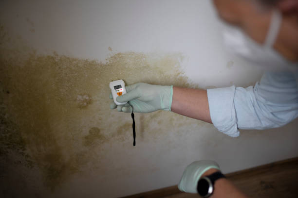 Best Water Damage Restoration  in Dublin, VA