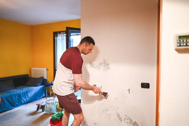 Best Mold Testing  in Dublin, VA